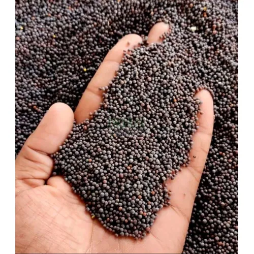 Mustard Seed
