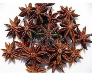 Star Anise