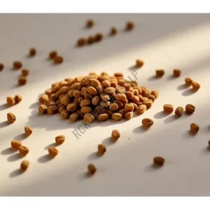 Fenugreek Seed