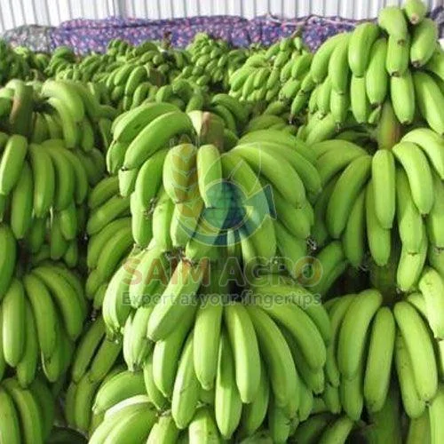 Fresh G9 Banana