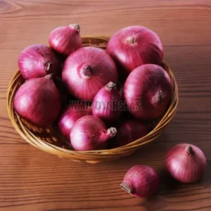 Onion