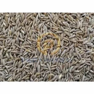 Cumin Seeds