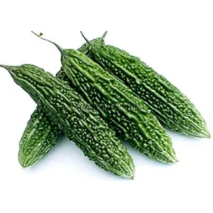Green Bitter Gourd