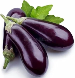 Purple Brinjal