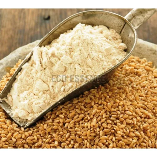 Wheat Flour