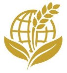 Mrida International Trading