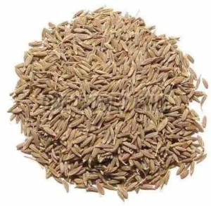 Cumin Seeds