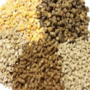 Animal feed