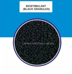Bio DAP Fertilizer