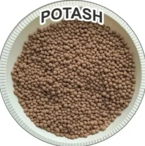 Bio Potash Fertilizer