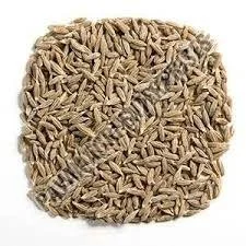 cumin seed