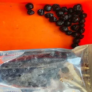 Blueberries