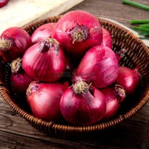 Fresh Red Onion