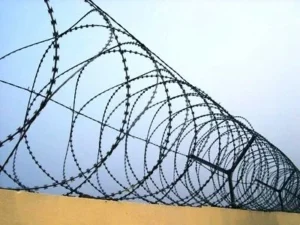 Stainless Steel Concertina Barbed Wire