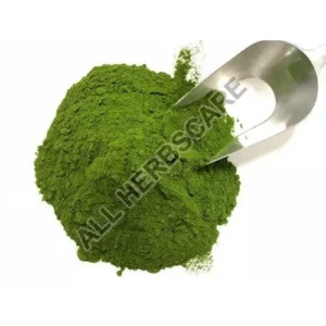 Alfalfa Powder