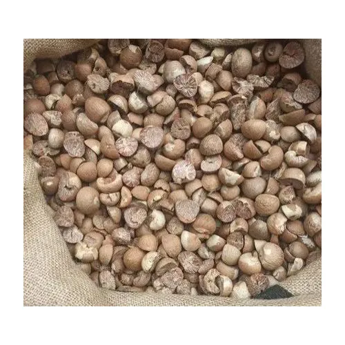 Betel Nuts