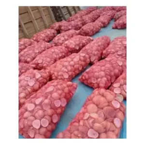 Dried Coconut