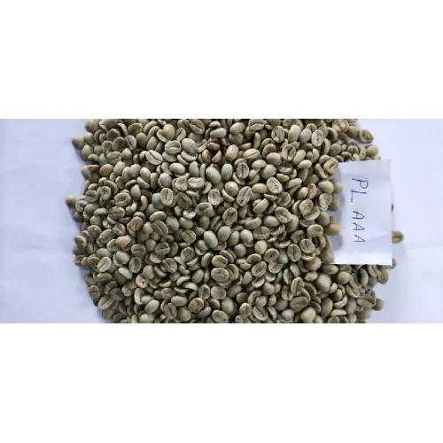 Organic Green Coffee