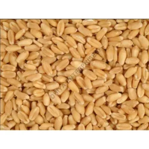 Milling Wheat
