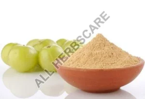 Amla Powder