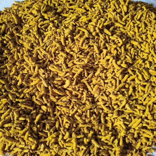 Turmeric Finger